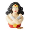 DC Comics Wonder Woman Cookie Jar -Children Toy Model 0981d8f6 6743 472e 8876 d936dbabd962