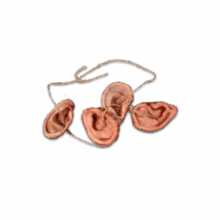 The Walking Dead - Walker Ear Necklace