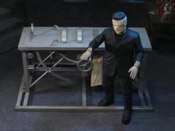 NECA Universal Monsters Frankenstein Accessory Pack -Children Toy Model 262f156c c715 4256 9f42 c1adb5501b13