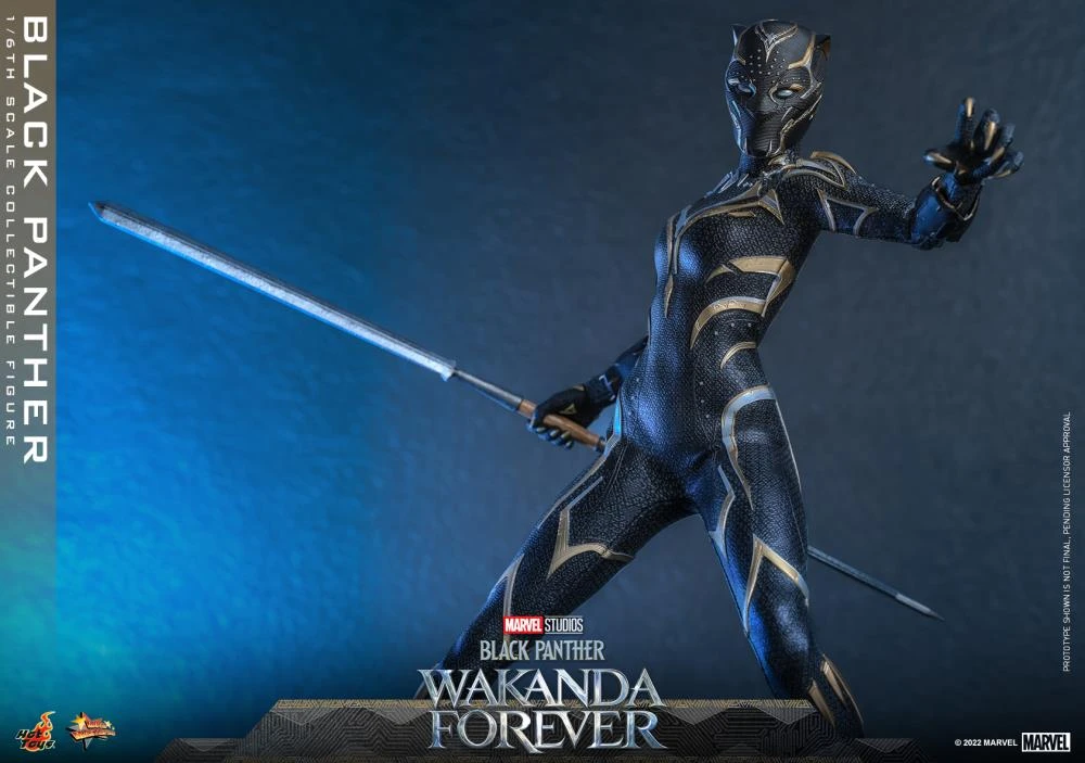 PRE-ORDER Black Panther 1/6 Scale Figure 20 PRE-ORDER Black Panther 1/6 Scale Figure - Image 18