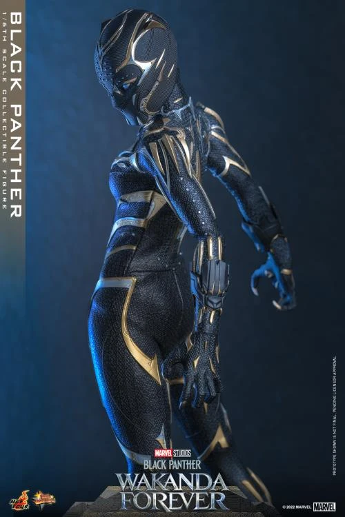 PRE-ORDER Black Panther 1/6 Scale Figure 17 PRE-ORDER Black Panther 1/6 Scale Figure - Image 15
