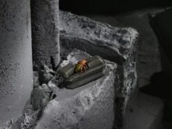 NECA Universal Monsters Dracula Accessory Set -Children Toy Model 71aad24a 9cbc 48ed 816a d2200b524e60