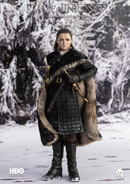 Game Of Thrones Arya Stark (Season 8) 1/6 Scale Figure 4 Game Of Thrones Arya Stark (Season 8) 1/6 Scale Figure - Image 2