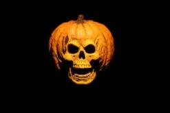 Halloween 2 Laurie Strode And Dr. Loomis 2 Pack Neca -Children Toy Model 789 ddb04ddb e00e 4825 9a18 380cd40ca57f