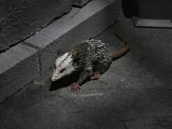 NECA Universal Monsters Dracula Accessory Set -Children Toy Model 7a9d828e 2595 485a b580 069b910bcdb8