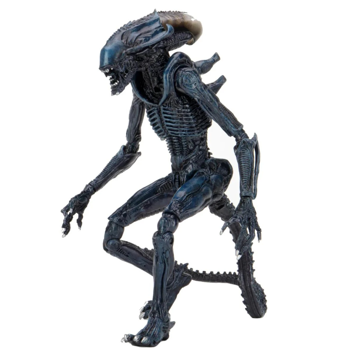 NECA Alien Vs. Predator Arachnoid (Movie Deco) Figure 3 NECA Alien Vs. Predator Arachnoid (Movie Deco) Figure