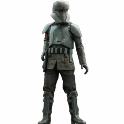 Transport Trooper Sixth Scale Figure