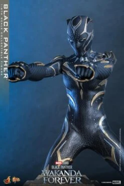 PRE-ORDER Black Panther 1/6 Scale Figure 27 PRE-ORDER Black Panther 1/6 Scale Figure -Children Toy Model a76261c7 a499 4c3e 8430 5ad44d5e2e36