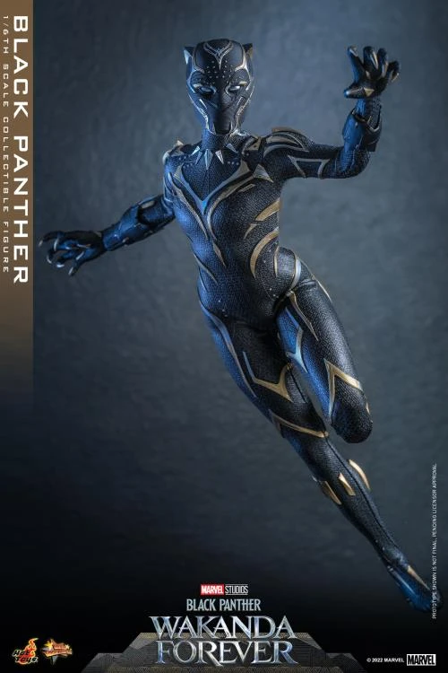 PRE-ORDER Black Panther 1/6 Scale Figure 12 PRE-ORDER Black Panther 1/6 Scale Figure - Image 10