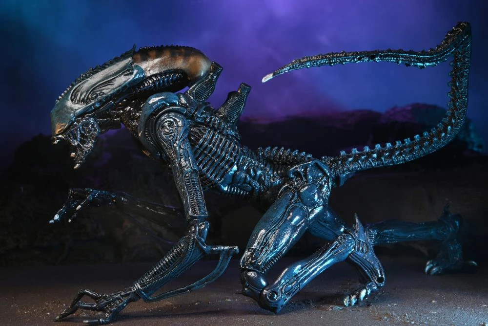 NECA Alien Vs. Predator Arachnoid (Movie Deco) Figure 4 NECA Alien Vs. Predator Arachnoid (Movie Deco) Figure - Image 2