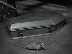 NECA Universal Monsters Dracula Accessory Set -Children Toy Model d0d1d3d5 a21d 4235 812c 22c901341dc5