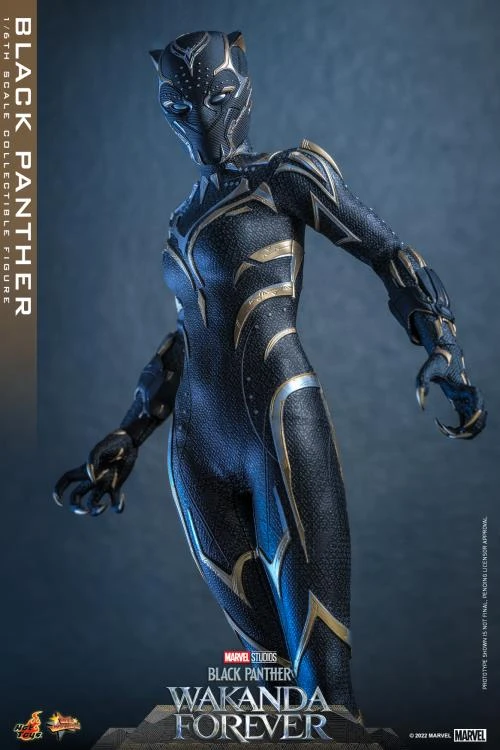 PRE-ORDER Black Panther 1/6 Scale Figure 15 PRE-ORDER Black Panther 1/6 Scale Figure - Image 13
